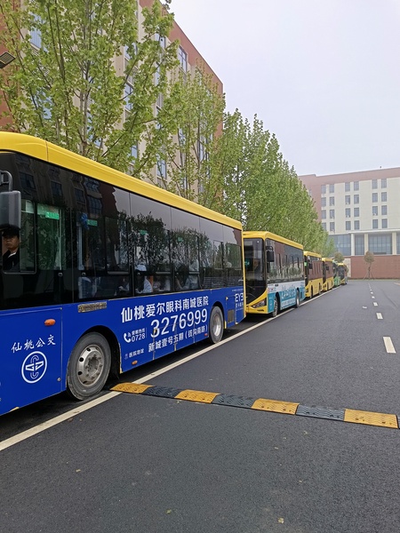 仙桃.jpg